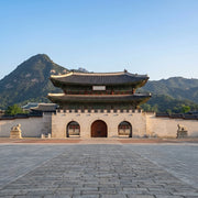 South Korea eSIM