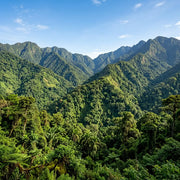 Travel eSIM for Uganda